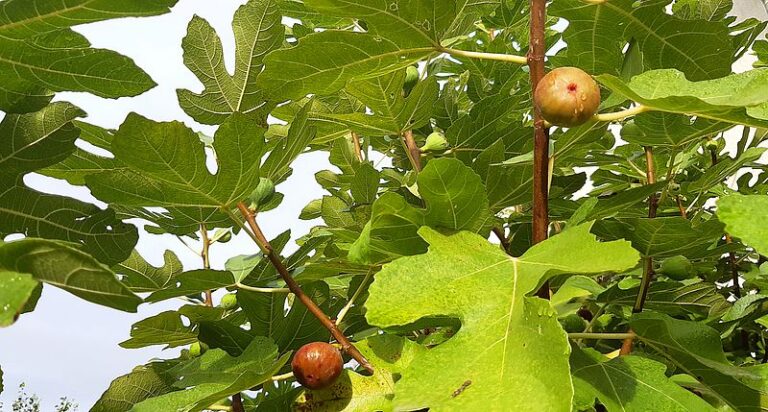 Neustart nach der Sommerpause
