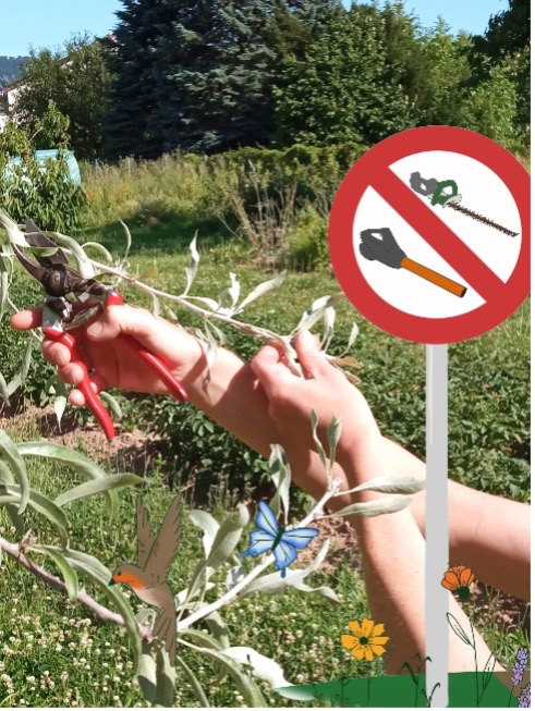 Geräuschlos gärtnern für Mensch – und Natur!