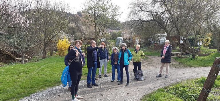 Von den Reben in den Wald – 3. Grüne Wanderung
